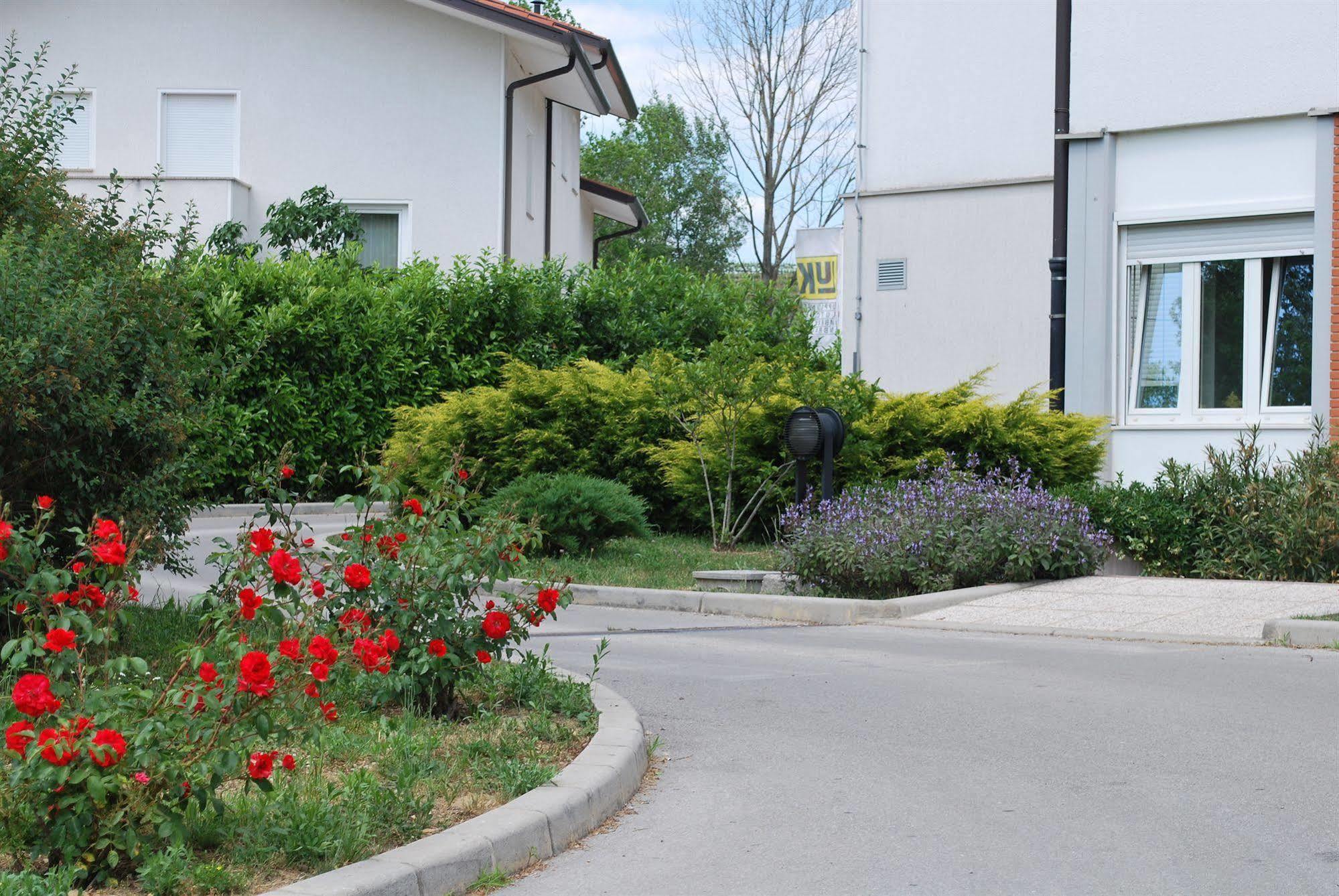 Bed And Breakfast Kogoj Nova Gorica Ngoại thất bức ảnh